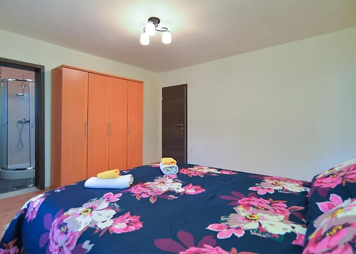 House Roza 2065 * Zminj