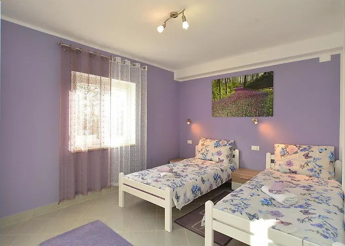 House Roza 2065 * Zminj